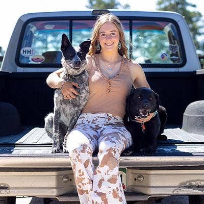 A person sitting in the back of a truck with two dogs AI-generated content may be incorrect.