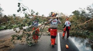 A group of workers carrying a fallen tree AI-generated content may be incorrect.
